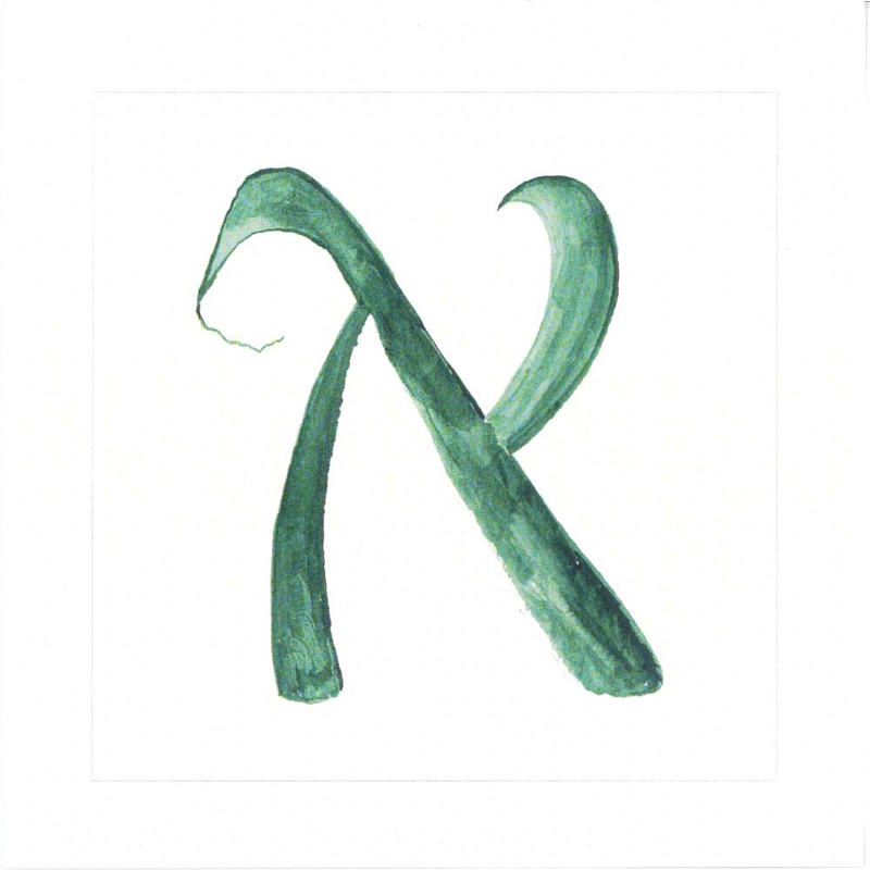 “Gan HaOtiot” | "Garden of Letters" Card Deck