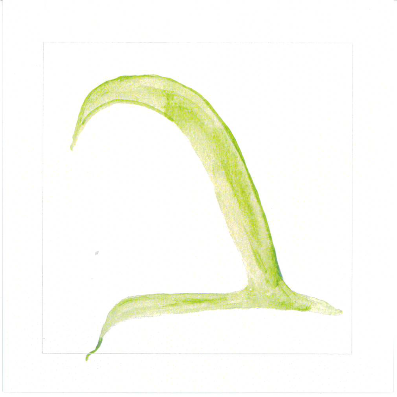 “Gan HaOtiot” | "Garden of Letters" Card Deck