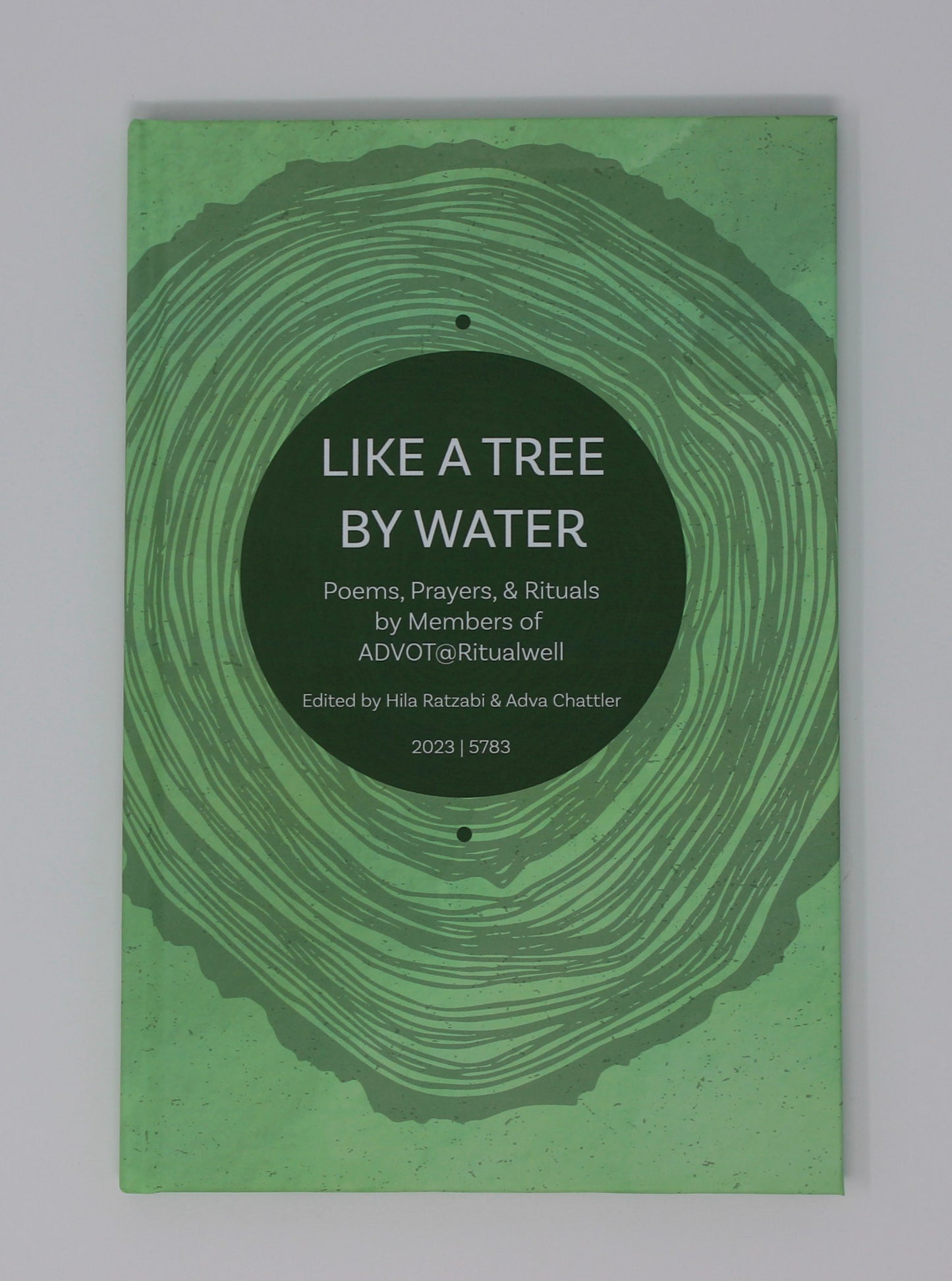 Like a Tree By Water: Poems, Prayers, & Rituals by Members of ADVOT@Ritualwell (2023/5783)