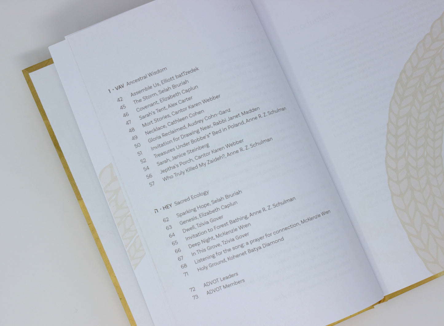 Weaving Through Time: Poems, Prayers, & Rituals by Members of ADVOT@Ritualwell (2024/5784)