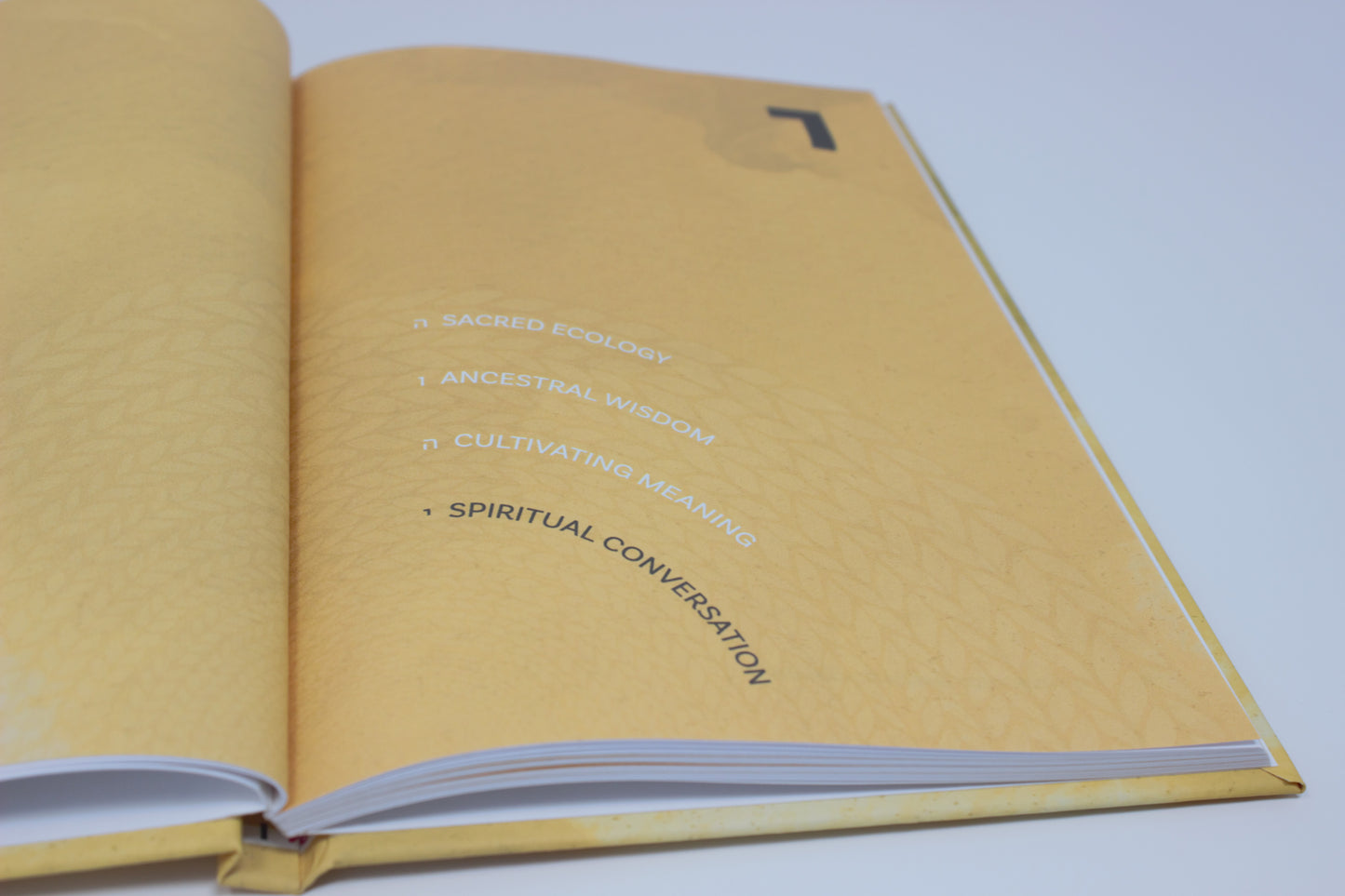 Weaving Through Time: Poems, Prayers, & Rituals by Members of ADVOT@Ritualwell (2024/5784)