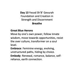 Omer Practice Deck: Birds #13