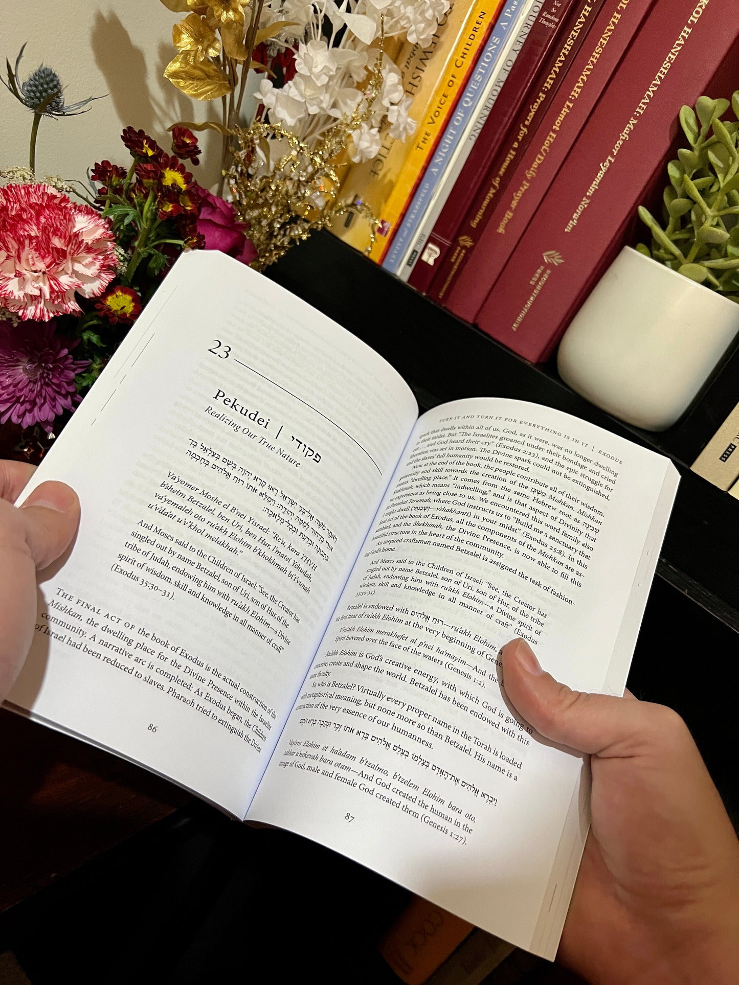 Turn It and Turn It for Everything Is in It: Essays of the Weekly Torah Portion