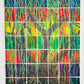 Omer Practice Deck: Wholeness: Willow Tree #16