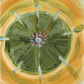 Teshuva Practice Deck: A Force