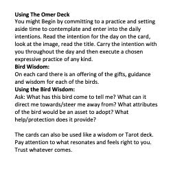 Omer Practice Deck: Birds #13  