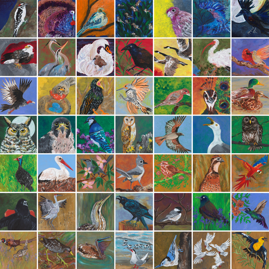 Omer Practice Deck: Birds #13